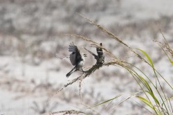 sharing-in-the-wind