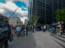 Zuccotti-park-observatory-behind-the-tree-32414